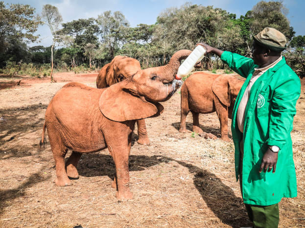 dswt-1.jpg